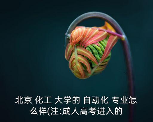北京 化工 大學的 自動化 專業(yè)怎么樣(注:成人高考進入的