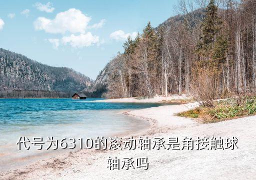 代號為6310的滾動軸承是角接觸球軸承嗎