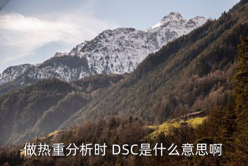 做熱重分析時 DSC是什么意思啊