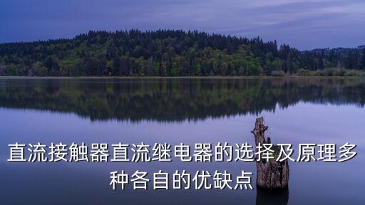 直流接觸器直流繼電器的選擇及原理多種各自的優(yōu)缺點(diǎn)