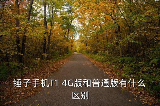 錘子手機(jī)T1 4G版和普通版有什么區(qū)別
