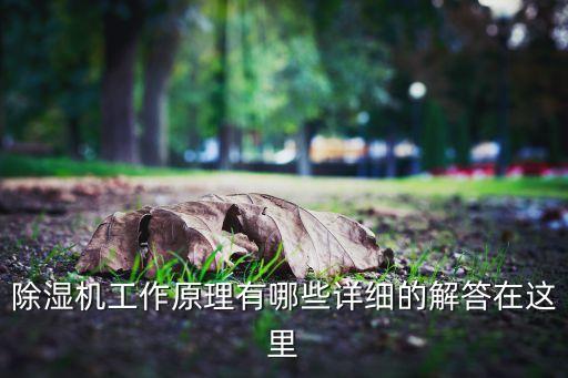 除濕機(jī)工作原理有哪些詳細(xì)的解答在這里