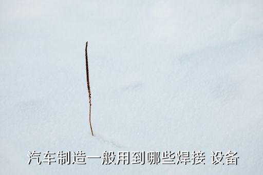 全自動(dòng)化汽車生產(chǎn)線設(shè)備,板式家具自動(dòng)化生產(chǎn)線設(shè)備多少錢
