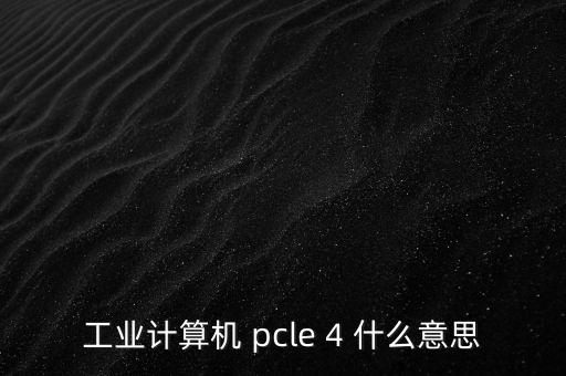 工業(yè)計(jì)算機(jī) pcle 4 什么意思