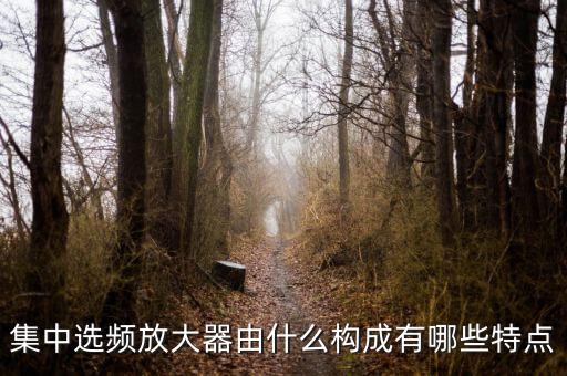 集中選頻放大器由什么構(gòu)成有哪些特點(diǎn)