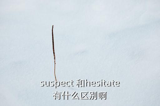 suspect 和hesitate有什么區(qū)別啊
