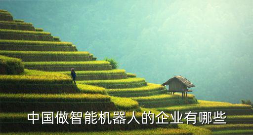 中國(guó)做智能機(jī)器人的企業(yè)有哪些