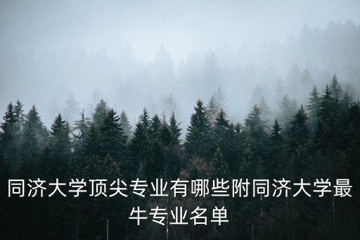 同濟(jì)大學(xué)頂尖專業(yè)有哪些附同濟(jì)大學(xué)最牛專業(yè)名單