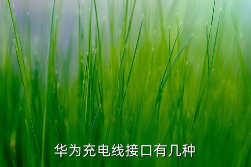 華為充電線接口有幾種