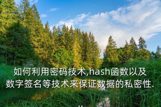如何利用密碼技術(shù),hash函數(shù)以及數(shù)字簽名等技術(shù)來保證數(shù)據(jù)的私密性...