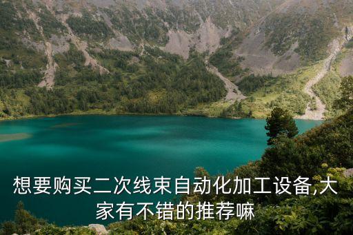 想要購買二次線束自動化加工設(shè)備,大家有不錯的推薦嘛