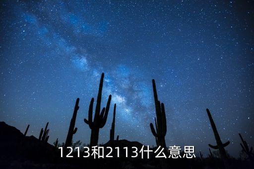 1213和2113什么意思