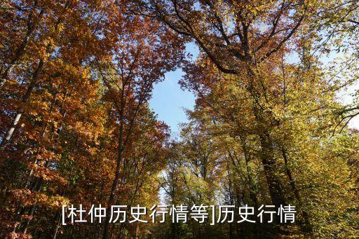 杜仲加工全自動化設(shè)備,炒杜仲和杜仲的區(qū)別