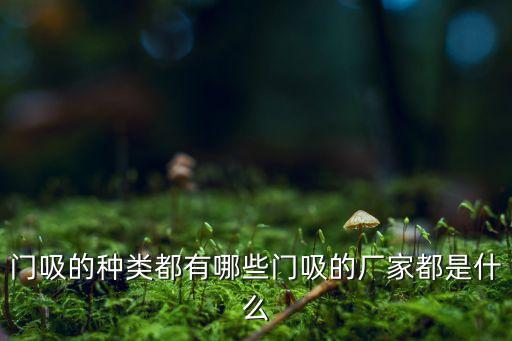 門吸的種類都有哪些門吸的廠家都是什么