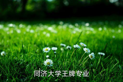 自動化專業(yè)介紹同濟(jì),自動化專業(yè)有哪些方向?