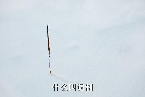 什么叫調(diào)制