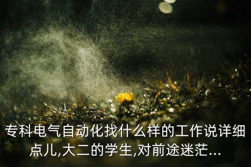 專科電氣自動化找什么樣的工作說詳細點兒,大二的學生,對前途迷茫...