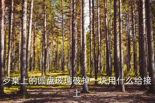 膠水哥，歺桌上的圓盤玻璃破掉一塊用什么給接上