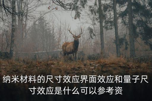 納米材料的尺寸效應(yīng)界面效應(yīng)和量子尺寸效應(yīng)是什么可以參考資