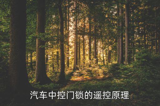 遙控門鎖，家用防盜門遙控鎖 實(shí)用嗎