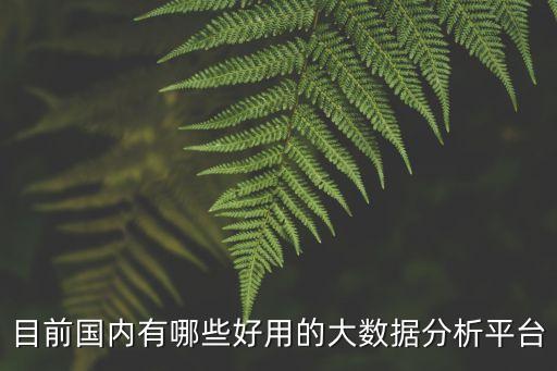 大數(shù)據(jù)標(biāo)準(zhǔn)化平臺(tái),如何搭建旅游大數(shù)據(jù)分析平臺(tái)?