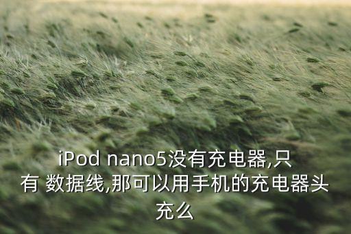 ipod nano 數(shù)據(jù)線,iPod數(shù)據(jù)線