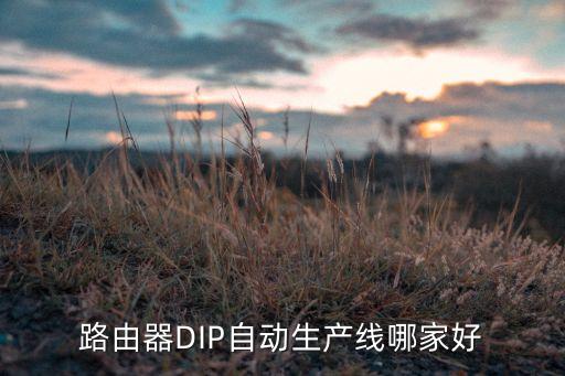 路由器DIP自動生產(chǎn)線哪家好