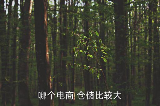 上海市自動(dòng)化倉(cāng)儲(chǔ)設(shè)備,音飛自動(dòng)化倉(cāng)儲(chǔ)設(shè)備公司怎么樣