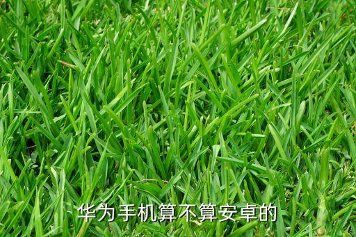 華為手機算不算安卓的