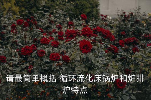 請最簡單概括 循環(huán)流化床鍋爐和爐排爐特點(diǎn)