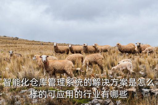 智能化倉(cāng)庫(kù)管理系統(tǒng)的解決方案是怎么樣的可應(yīng)用的行業(yè)有哪些