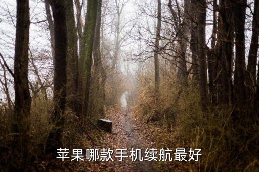 蘋果哪款手機續(xù)航最好