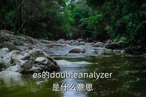 es的doubleanalyzer是什么意思