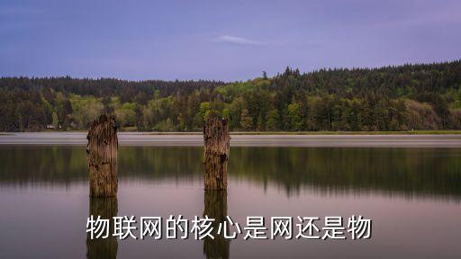 物聯(lián)網(wǎng)的核心是網(wǎng)還是物