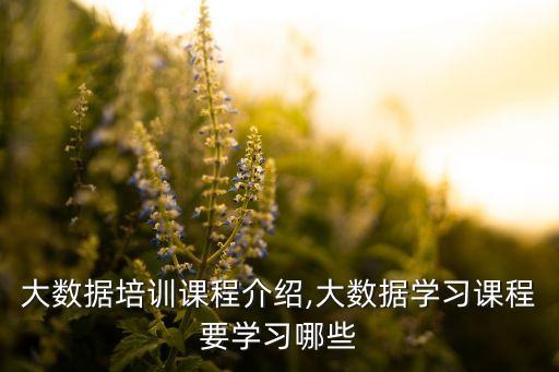 貴州省大數據培訓平臺,學大數據培訓哪家好?