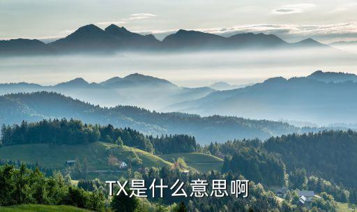 TX是什么意思啊