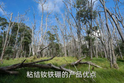 粘結釹鐵硼的產(chǎn)品優(yōu)點
