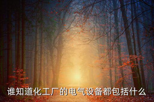 誰(shuí)知道化工廠(chǎng)的電氣設(shè)備都包括什么