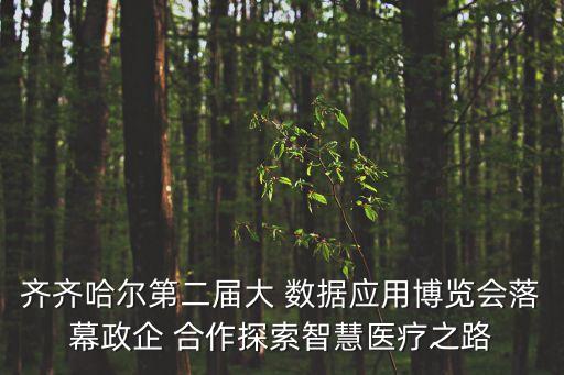 齊齊哈爾第二屆大 數(shù)據(jù)應(yīng)用博覽會(huì)落幕政企 合作探索智慧醫(yī)療之路