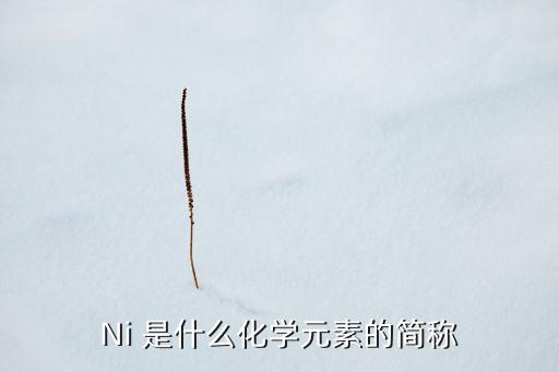 ni元素，NI是什么
