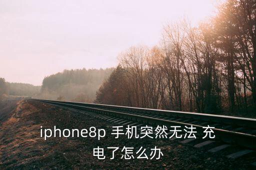 iphone8p 手機突然無法 充電了怎么辦
