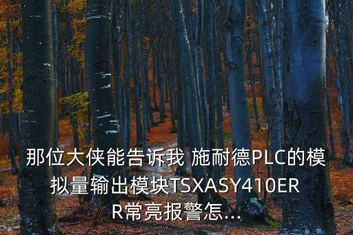 那位大俠能告訴我 施耐德PLC的模擬量輸出模塊TSXASY410ERR常亮報(bào)警怎...