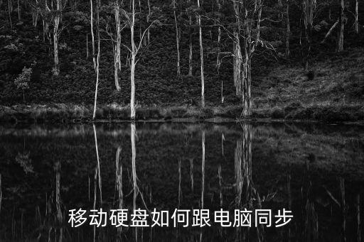 移動(dòng)硬盤如何跟電腦同步