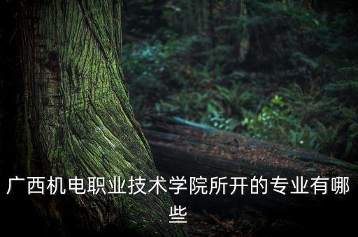 廣西機(jī)電職業(yè)技術(shù)學(xué)院所開的專業(yè)有哪些