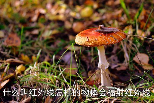 什么叫紅外線怎樣的物體會(huì)福射紅外線
