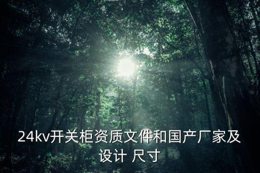 24kv開關(guān)柜資質(zhì)文件和國產(chǎn)廠家及設(shè)計(jì) 尺寸