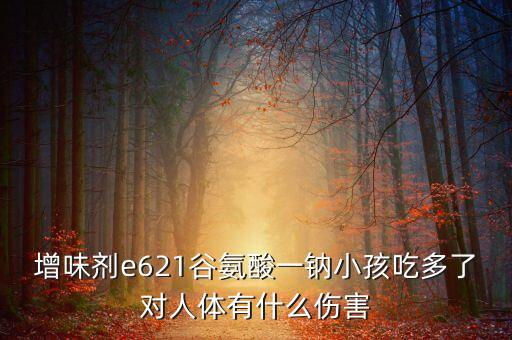 e621，型號(hào)為e621的手機(jī)為什么上不去網(wǎng)