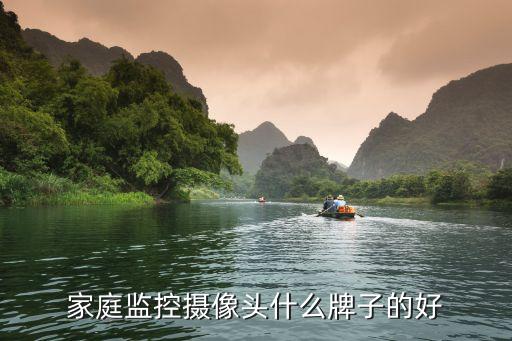 家庭監(jiān)控?cái)z像頭什么牌子的好