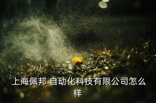 上海鉚接自動(dòng)化設(shè)備批發(fā),全自動(dòng)鉚接機(jī) 自動(dòng)化鉚接設(shè)備