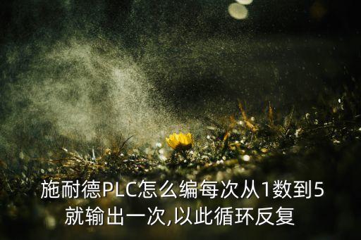  施耐德PLC怎么編每次從1數(shù)到5就輸出一次,以此循環(huán)反復(fù)